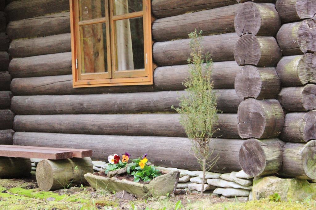 Kuuli Puhkemajad Hotel Tagaranna Quarto foto